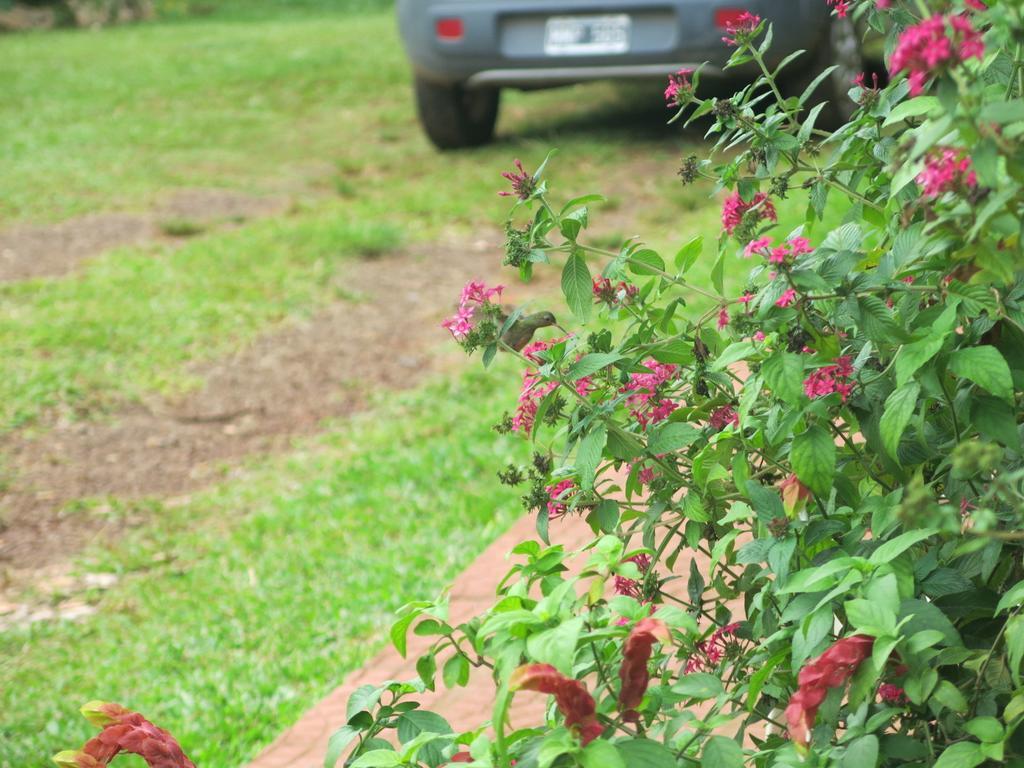 Hostel Y Posada Colibri 푸에르토이과수 외부 사진