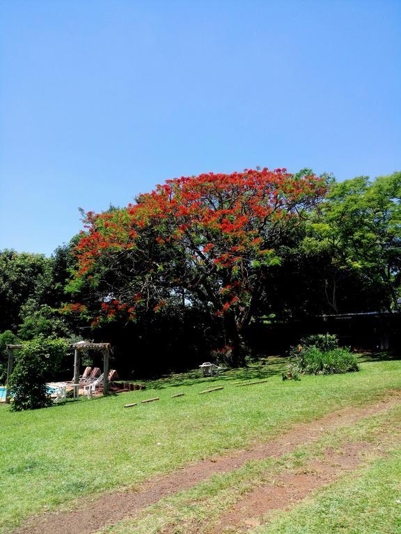 Hostel Y Posada Colibri 푸에르토이과수 외부 사진