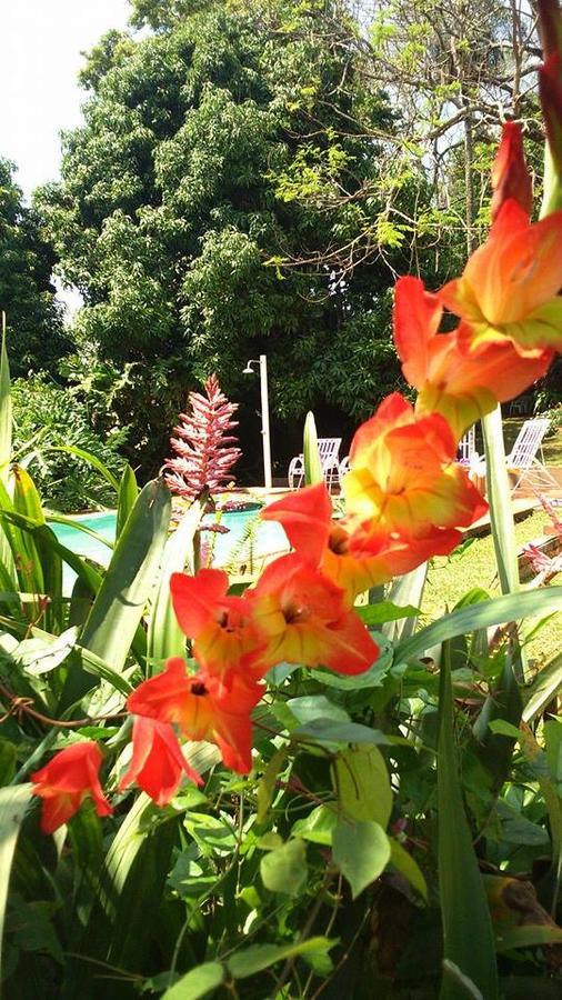 Hostel Y Posada Colibri 푸에르토이과수 외부 사진